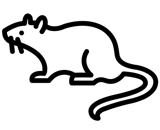 Rodent icon